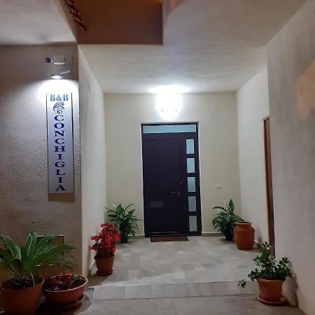 La Conchiglia Bed And Breakfast San Nicola Arcella Ngoại thất bức ảnh