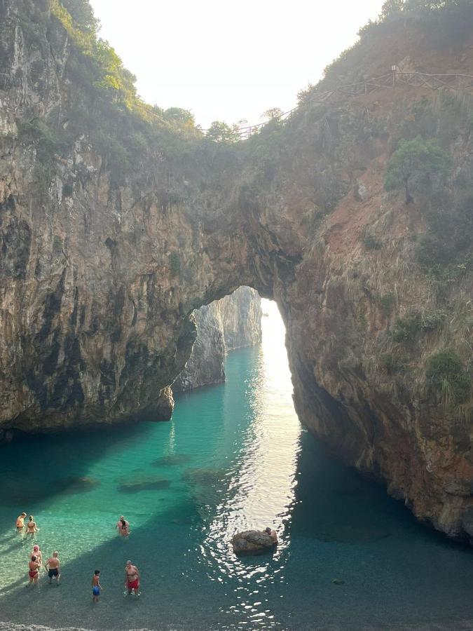 La Conchiglia Bed And Breakfast San Nicola Arcella Ngoại thất bức ảnh
